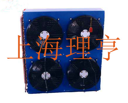 ��������˹������